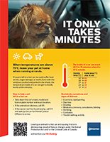 Keep your pets at home in warm temps.