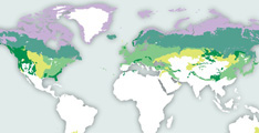 Temperate Biome Map