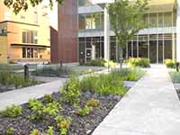 Clinic Site Development