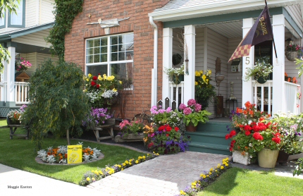 Front Yards in Bloom