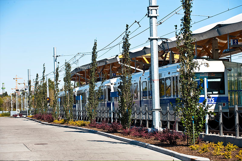 Transportation for seniors