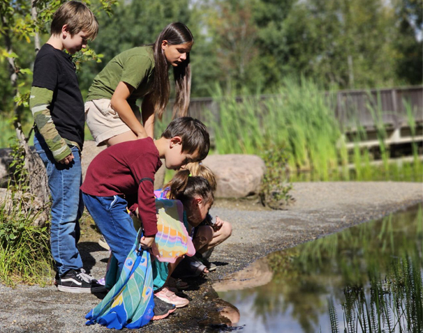 A group of kids investigating a pond.