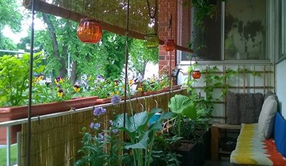 A balcony with flowers and edible plants