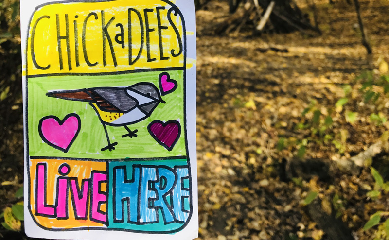 A hand-drawn sign in the woods, featuring a drawing of a chickadee and the words "chickadees live here".
