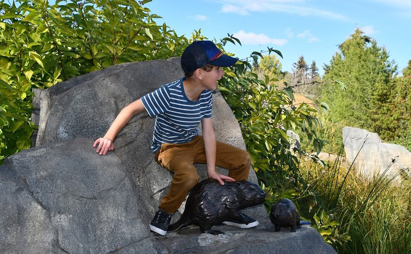 A boy standing on rocks, near two beaver statues.