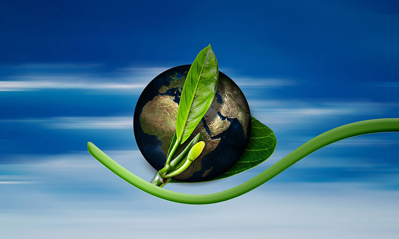 world globe with leaf