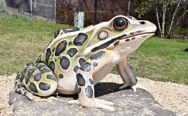 Sculpture of a frog