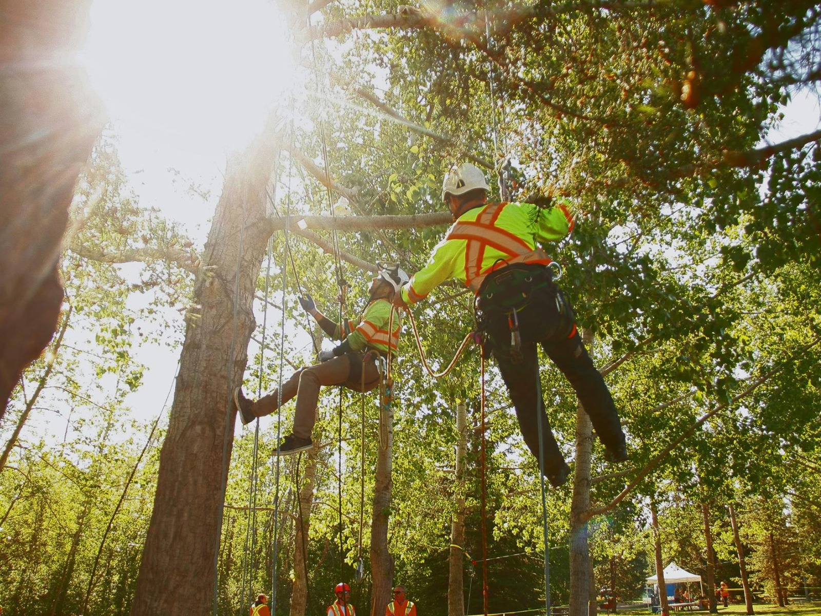Arbor Day in Edmonton City of Edmonton