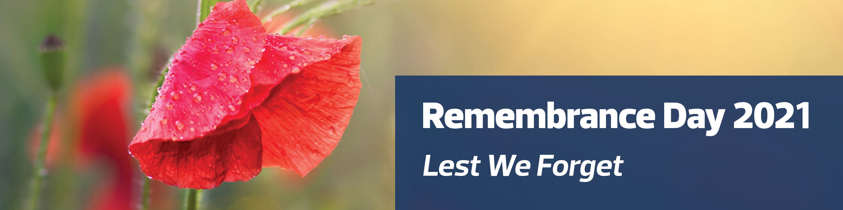 Remembrance Day 2021. Lest we forget.