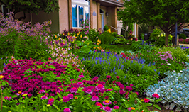 Photo of a 2021 winning Front Yard in Bloom