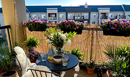 Photo of a balcony with blooming flowers and plants.