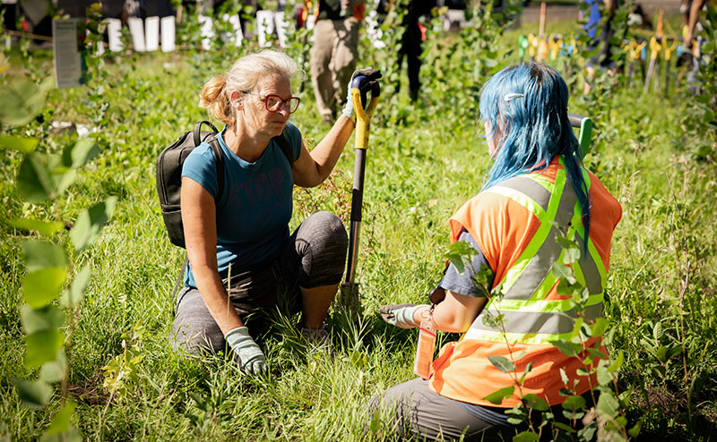 Two volunteers talking in a planting location