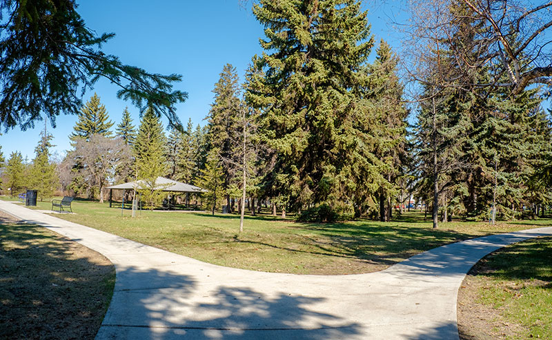 park with trees and shared pathway