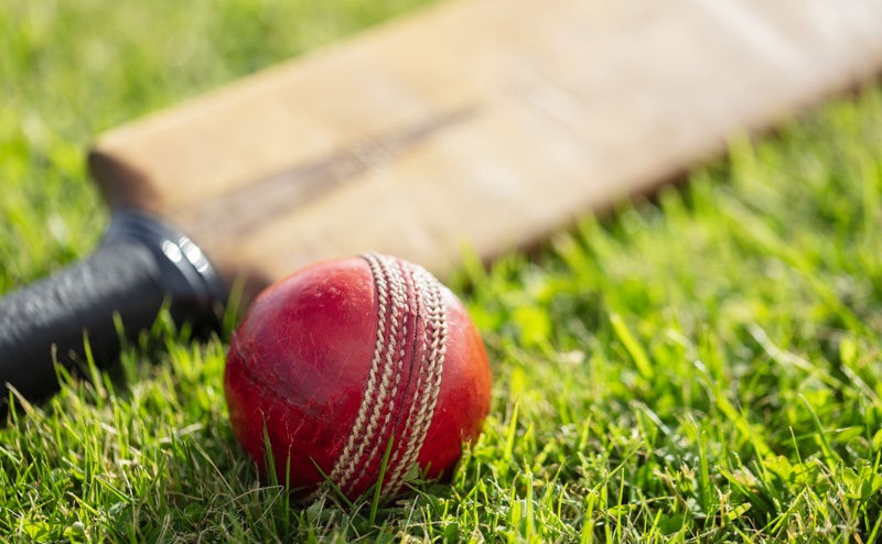 Cricket bat and ball on grass