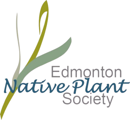 Edmonton Native Plant Society logo
