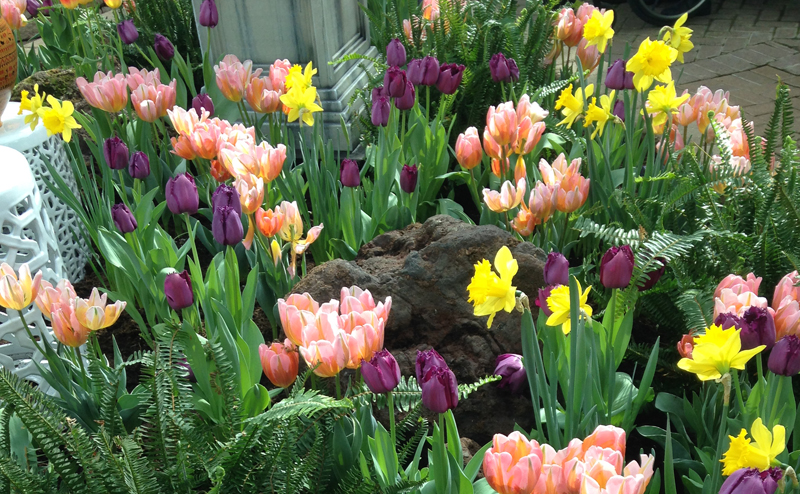 A T-Rex sculpture next to a green and pink plant.