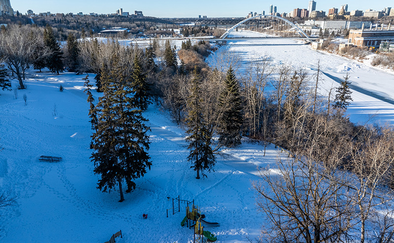 park in winter with trees and trails