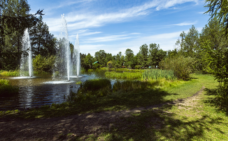 water fountains in pond at park