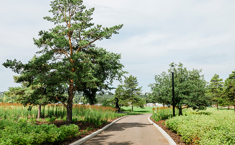 park walkway surrounded by trees and greenery