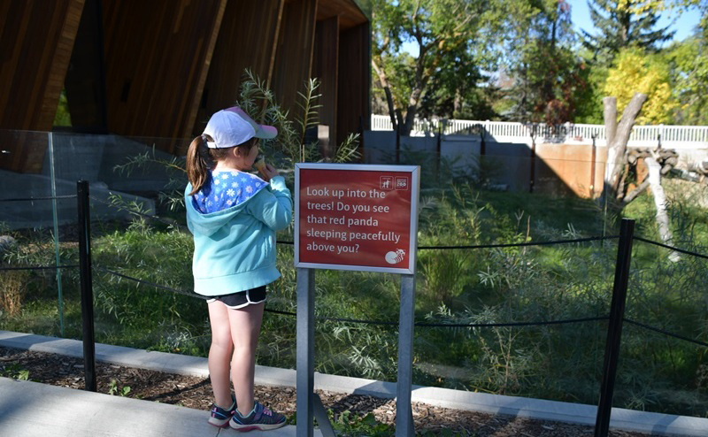 A child next to a sign at a red panda exhibit