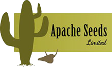 Apache Seeds Logo