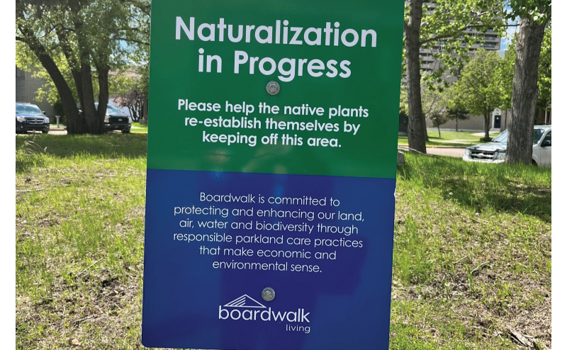 Boardwalk's Naturalization In Progress sign