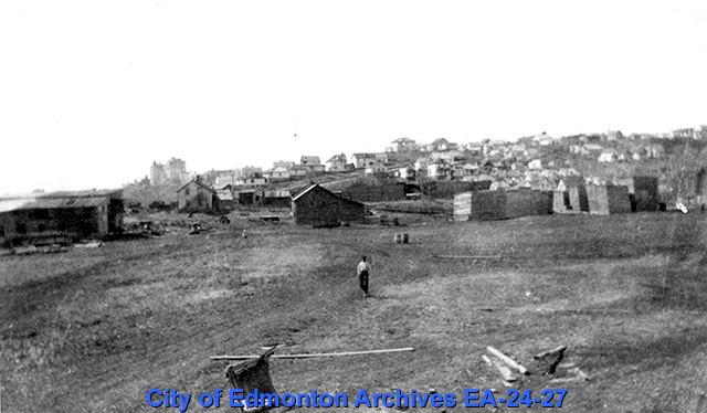 A lumber yard with an open field and small wooden buildings.