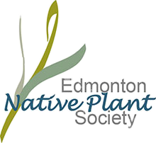 Edmonton Native Plant Society Logo