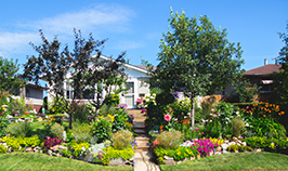 Photo of 2022 Front Yards in Bloom winning yard