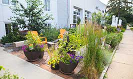 Front Yards in Bloom - Public Space
