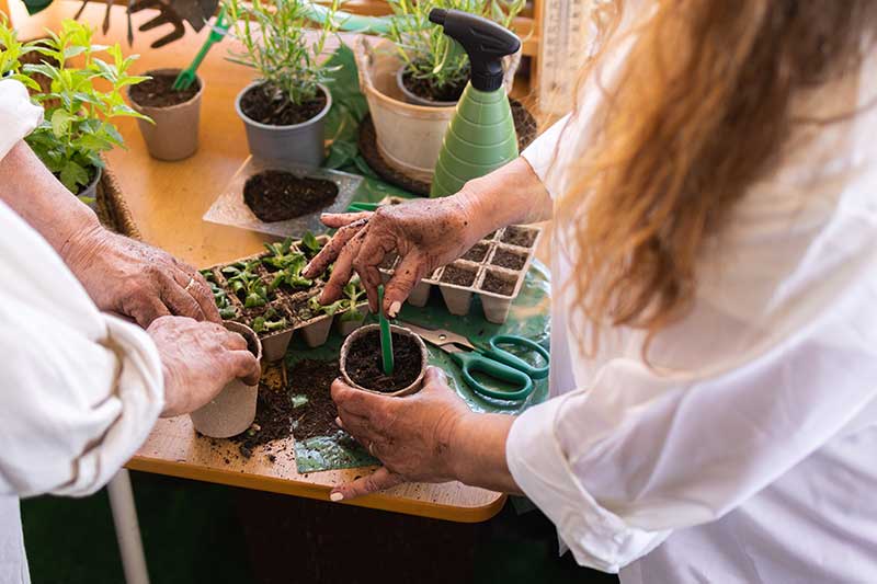 Women planting seeds
