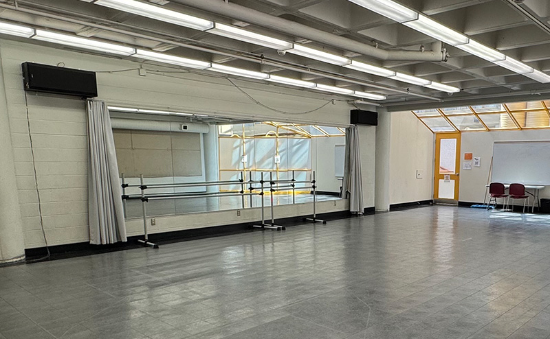 Dance Studio # 333