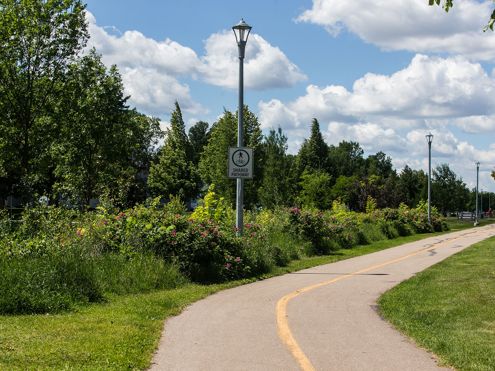 naturalization along a multiuse path
