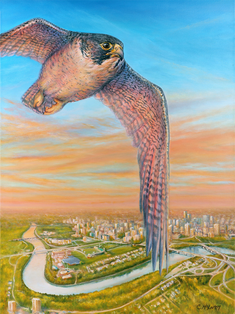 Celebrate Fall Migratory Bird Day