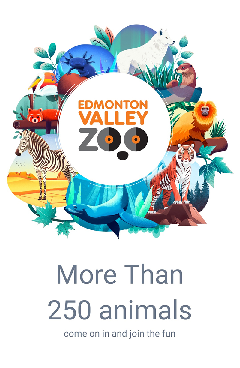 Screenshot of the Zoo app. The Zoo logo is surrounded by illustrated animals. Text below it reads "More than 250 animals. Come on in and join the fun.".