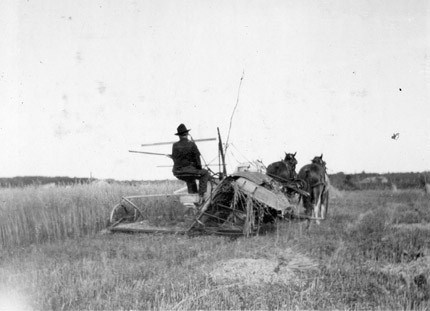 A man tilling a field, which is being pulled by horses