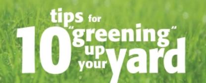 10 Tips for Greening up your yard Banner