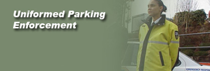 Uniformed Parking Enforcement image