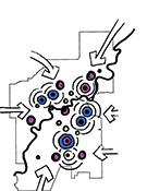 An image showing a map of Edmonton with arrows and circles imposed over top.
