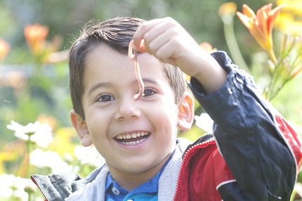 A young boy holds a Nightcrawler earthworm.