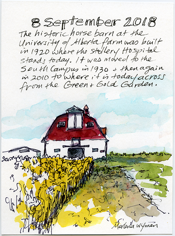 A sketch of golden yellow crops in front of a red and white barn.