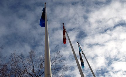 View of the tops of 3 flag poles in front of City Hall