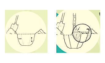 A diagram for how to properly plant a tree, as described in step 3