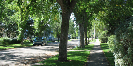 Boulevard in Edmonton