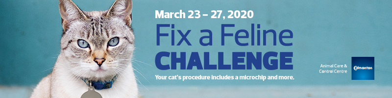 Fix A Feline Challenge runs the month of March