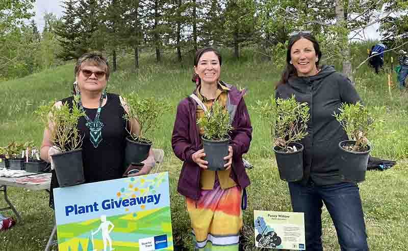 NDTR - Root For Trees Event