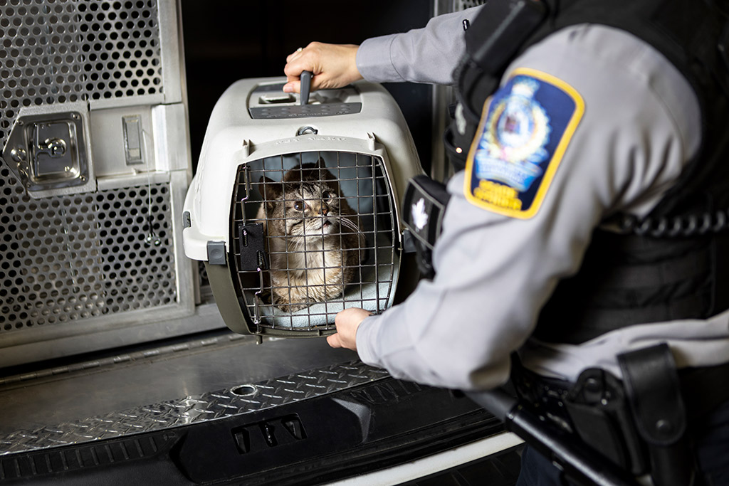 peace officer with cat in cage