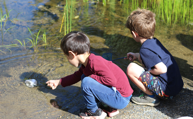 Two kids examining a shallow body of water.