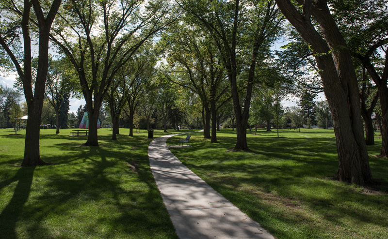 A pathway lined with trees in Borden Park.