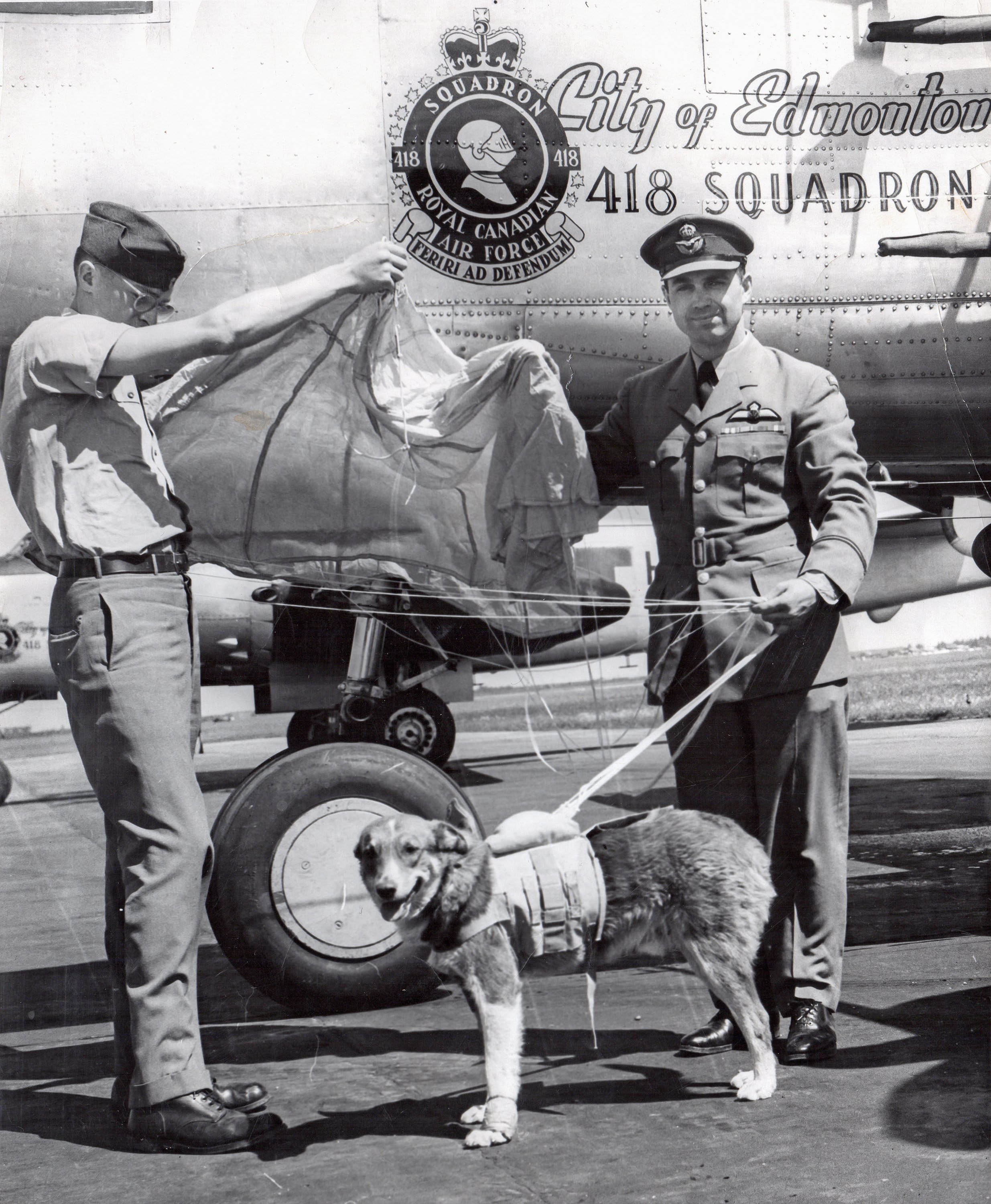 418 Squadron members display Butch, the dog's specially made paraschute